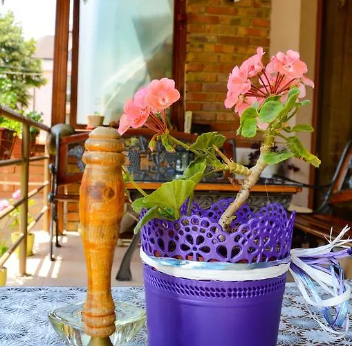 Pensiune Nirvana Nesebăr